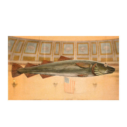 Image of The Sacred Cod in the State House in Massachusetts