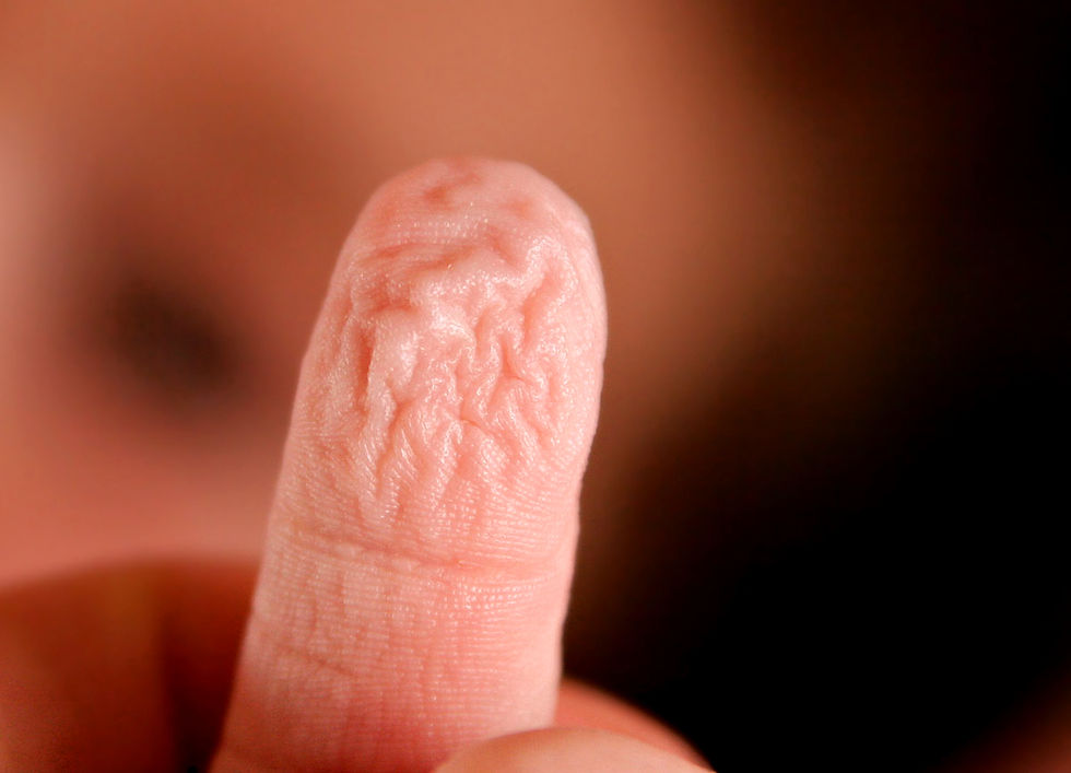 Photograph of Wrinkly Fingers