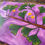 Miniature : Toile Originale Gingko Biloba