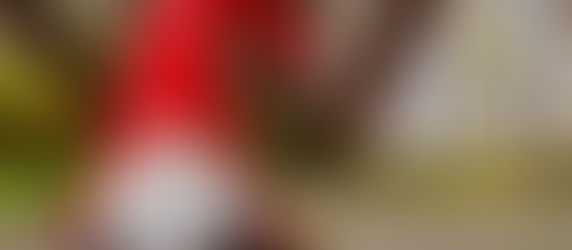 The Elves and the Escalator