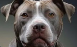 Screenshot 2024-03-15 130636_edited.jpg