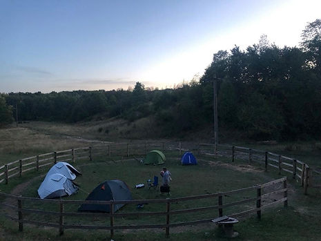 WhatsApp Image 2025-03-11 at 23.44.30.jpeg