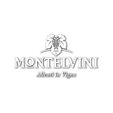 MONTELVINI2.png