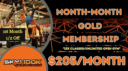 Black Friday 12-Month Gold 2024 (1)_edit