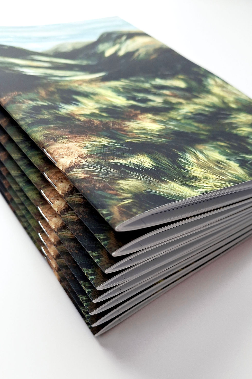 Thumbnail: A5 Velvet Touch Notebook - The Passage
