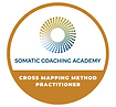 Somatic Bodywork, Crossmappiing, Energywork