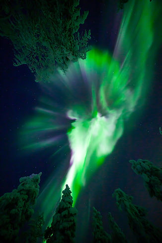 Aurora pysty.jpeg