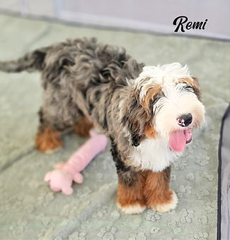 20250719_153719 (1).jpg