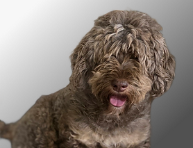 20250719_093507 (1).png