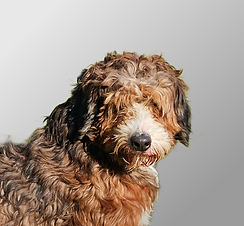 20240224_150733 (1).png1.png