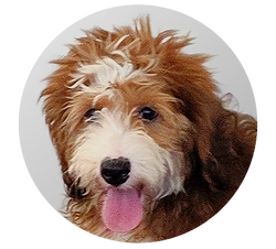 20250719_152952 (1).png