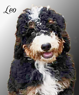 unnamed (3).png