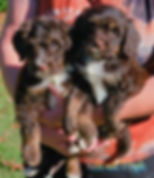 20241116_130711 (1) (2)