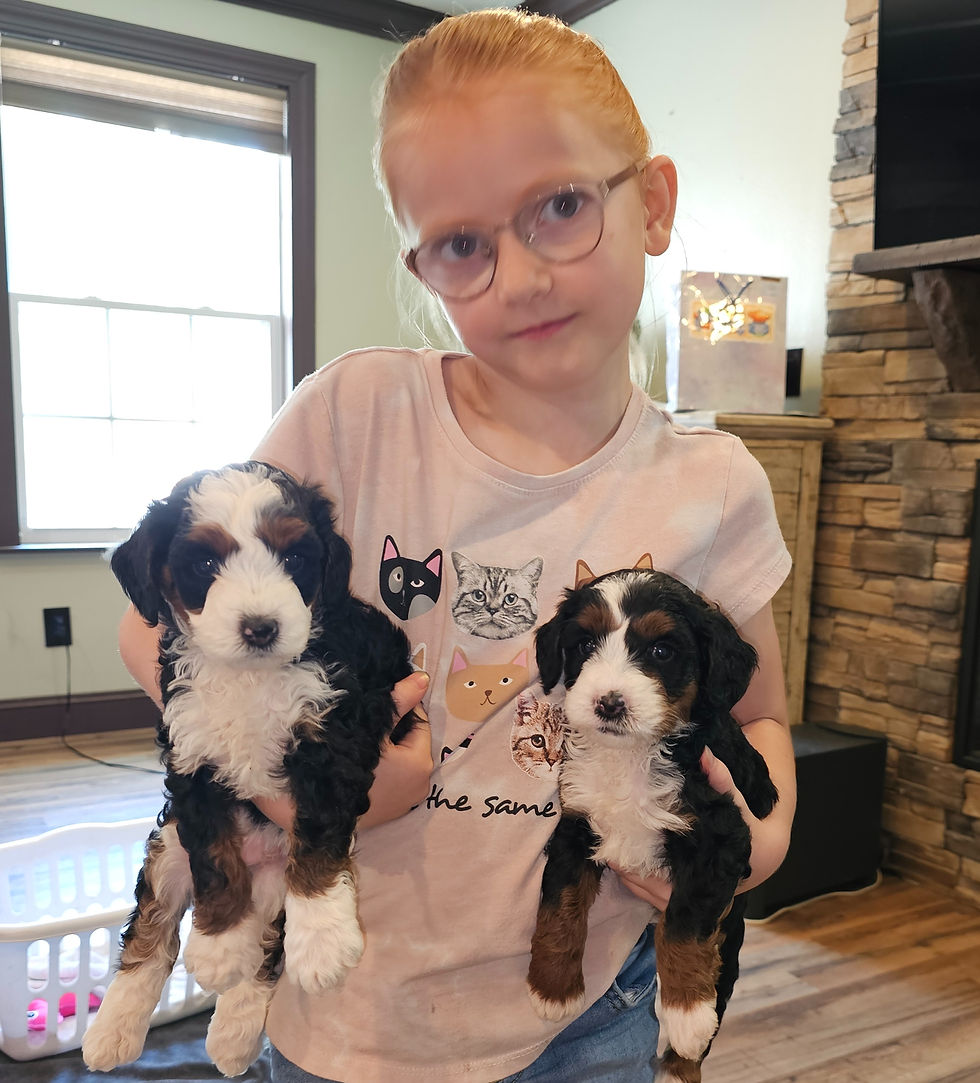 20240519_135100_edited