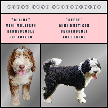 Blank 2000 x 2000 Instagram Post (5).png