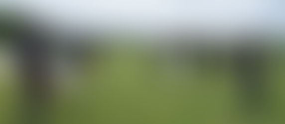 カメラマン兼マネージャー兼通訳担当決定!