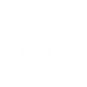 tiktok.png