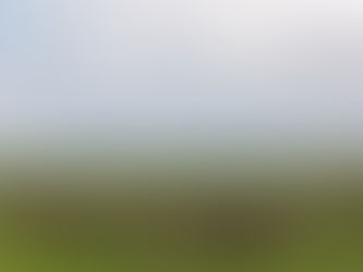 Wildebeest Migration in Serengeti - Trip Quest