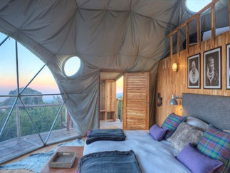 Class 6 Accommodation
