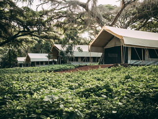 Class 3 Accommodation