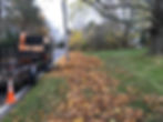 Efficient Leaf Removal Services