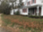 Fall Clean Up Before