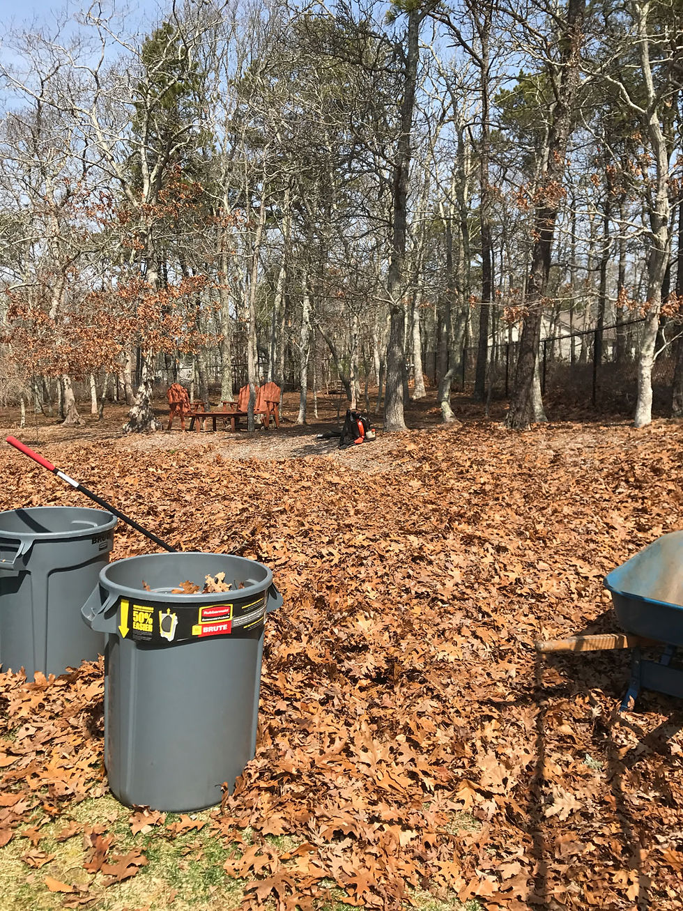 Hudson Landscaping Cape Cod Clean Up