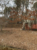 Hudson Landscaping Cape Cod Clean Up
