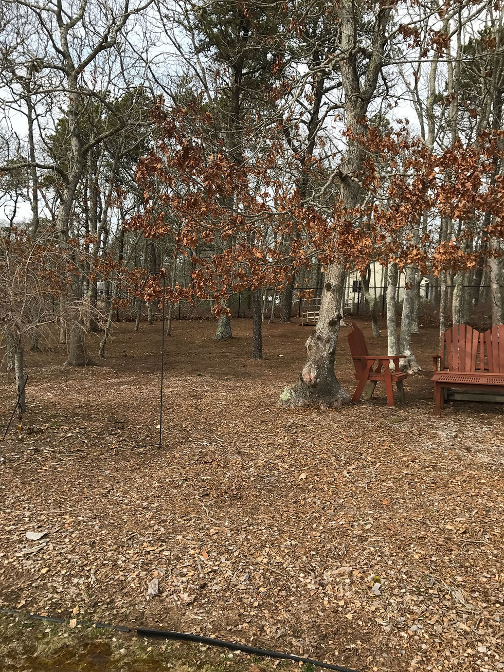 Hudson Landscaping Cape Cod Clean Up