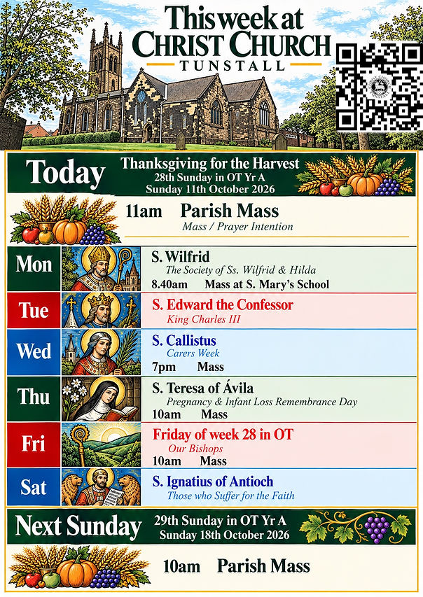 Harvest 28th week 26.jpg