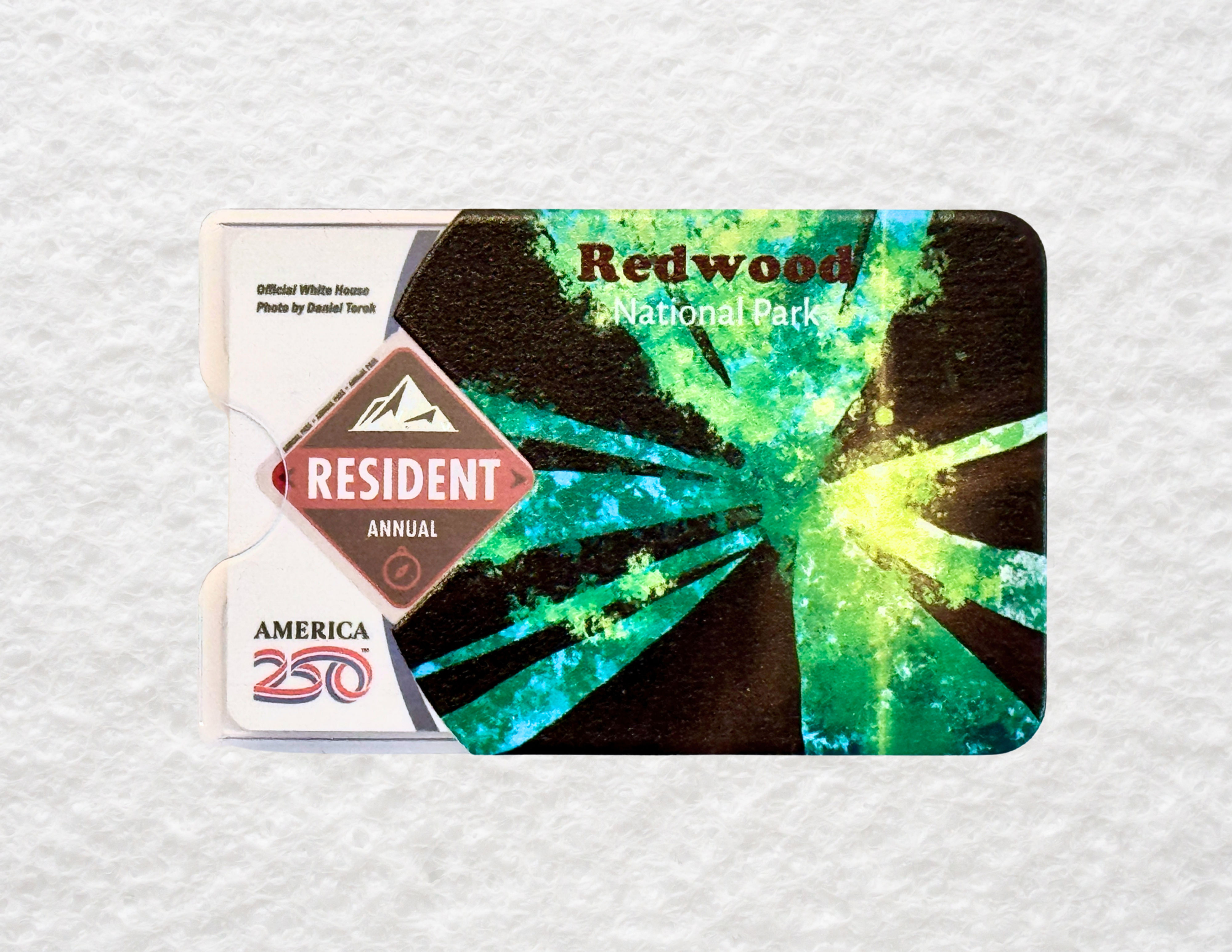National Park Pass Sleeve - Redwood National Park