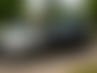 🚨 Towing Near Me | Auto X Fix