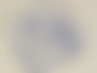きちんとしなきゃ