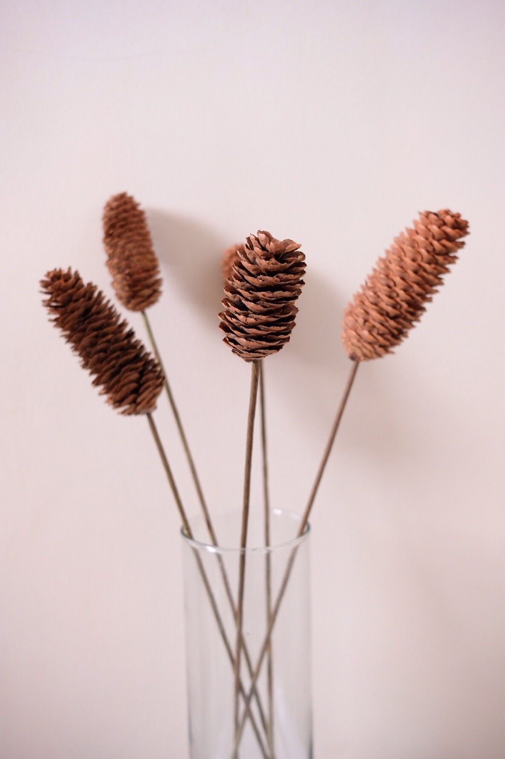 Pine Cone Acorns
