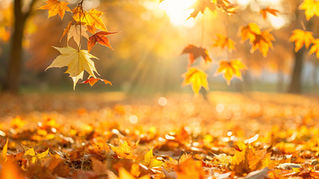reduzierte Öffnungszeiten während den Herbstferien