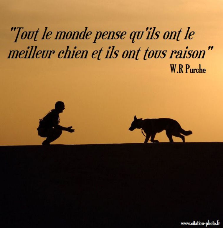 d45287532aab6394d6841fbc4d2c6dfe_edited