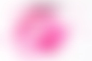 Business Plan- Professor Shanahan