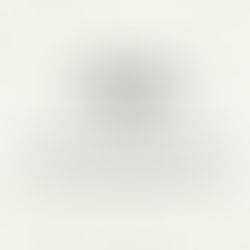 Curriculum Development #2- Professor Shanahan