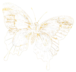 oie_transparent-15_edited.png