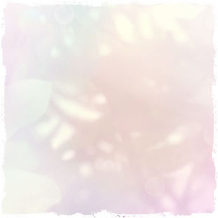 01246331-2D02-459A-BE78-3AD7ED28C91A.jpeg
