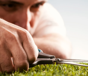 Perfectionist cutting grass