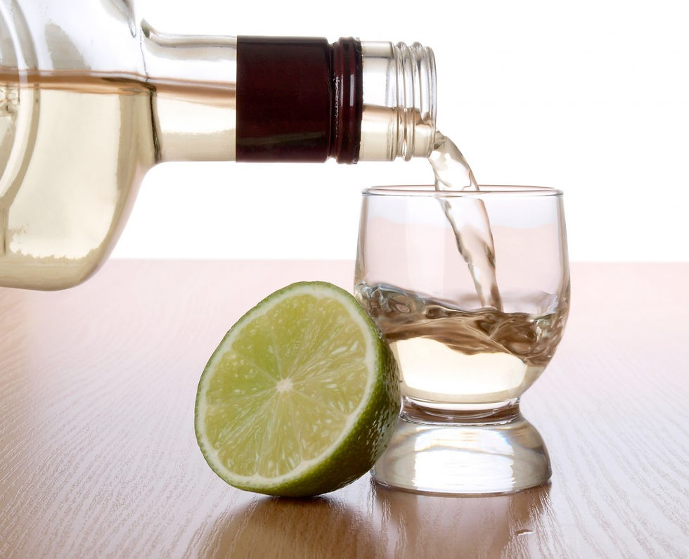 Sotol