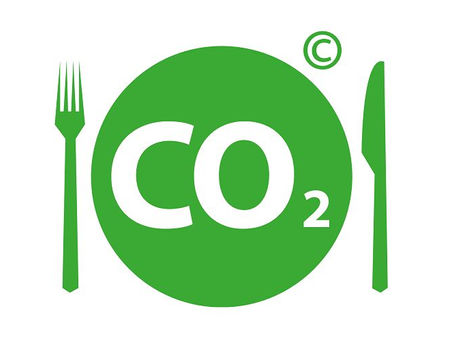 Green plate with the text “CO2” placed between a fork and knife, symbolizing the link between energy, emissions, and food systems.