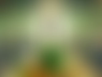 Beyond Luck: The Leadership Legacy of St. Patrick