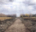 ditch_edited.jpg