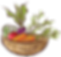 basket of vegetables illustration