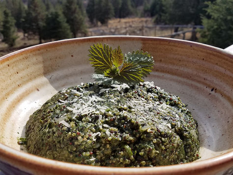 Nettle Quinoa Risotto