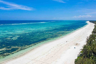 חוף pongwe בזנזיבר