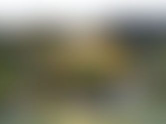 המקדש המוזהב בקיוטו