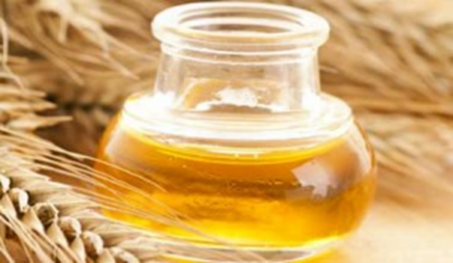 Weatgerm oil
